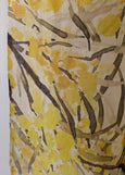 Raffal</p>Wattle</p>(White & Yellow)