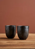 Robert Gordon</p>Earth Collection</p>(Latte Cups - 2 pk)