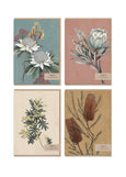 Typoflora</p>Boxed Card Set</p>(Native Flora)