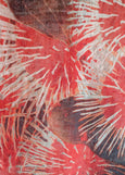 Raffal</p>Hakea</p>(Red)