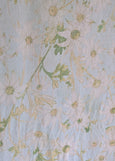 Raffal</p>Flannel Flower</p>(Blue/White)