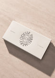 Odesse</p>Discovery Set</p>(7 piece)
