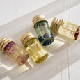 Stray Willow</p>Perfum Discovery Set</p>(Original)
