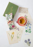 Dancing With Juniper</p>Eye Pillow</p>(Birth)