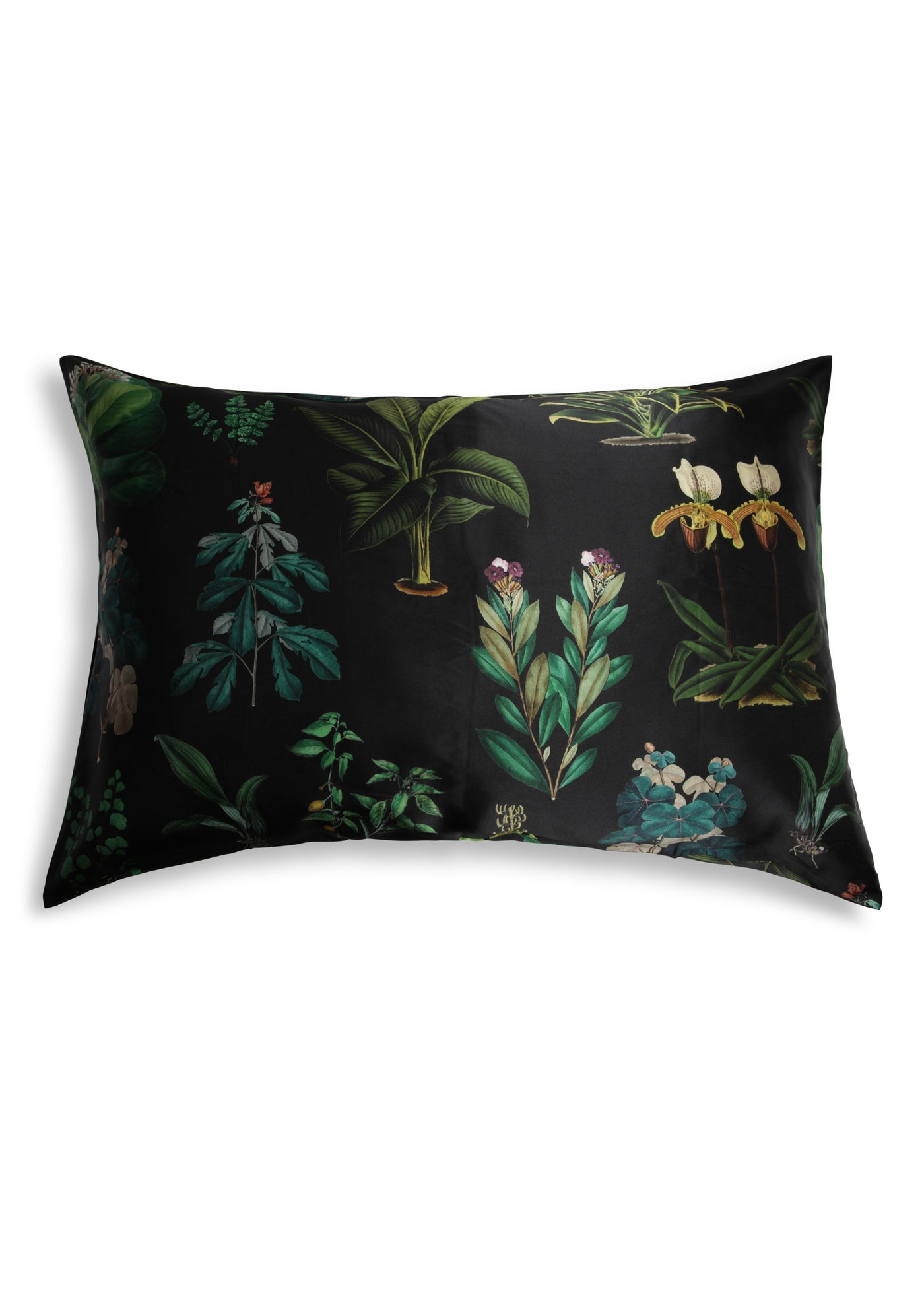 The Artist Scarf Collection</p>Silk Pillow Case</p>(Ancient Botany)